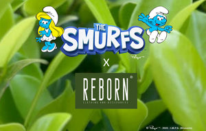 Meet the Blue Crew | Smurfs x REBORN®